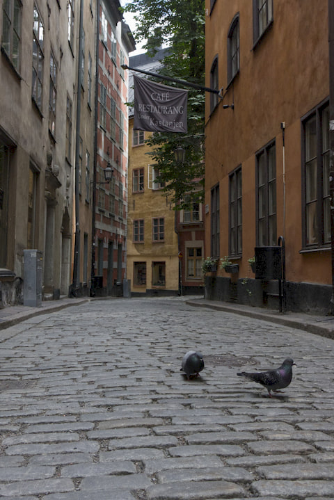 narrow street in Stockholm's old town